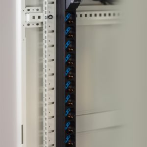 LK10057-10.jpg MULTIPRESA VERTICALE A 12 PORTE PER ARMADI RACK CON INTERRUTTORE MAGNETOTERMICO