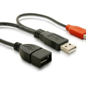 SDOPPIATORE USB A FEMMINA - 2 X A MASCHIO 22,5 CM DELOCK