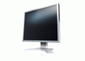 S1933GG.jpg MONITOR EIZO 19 SERIE FLEXSCAN IPS LED GRIGIO