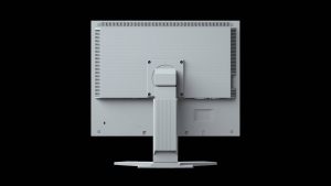 EIZO FlexScan Slim-Monitor S2133-GY monitor 21 - GRIGIO