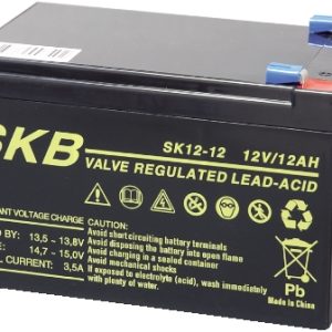 SK1212F2G.jpg Batteria al piombo 12v 12AH